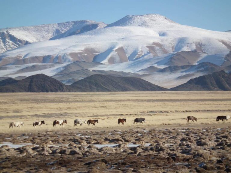 Kirghizistan hors des Sentiers Battus : Une Aventure dans les Montagnes Célestes
