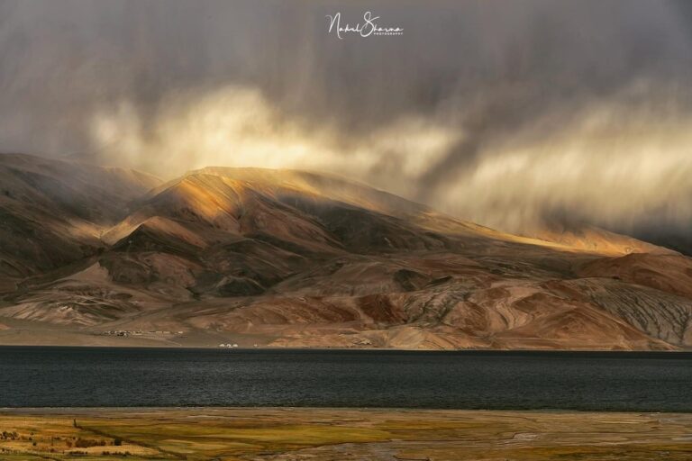 Sur les traces des caravaniers : entre dunes, monastères et hauts cols du Ladakh