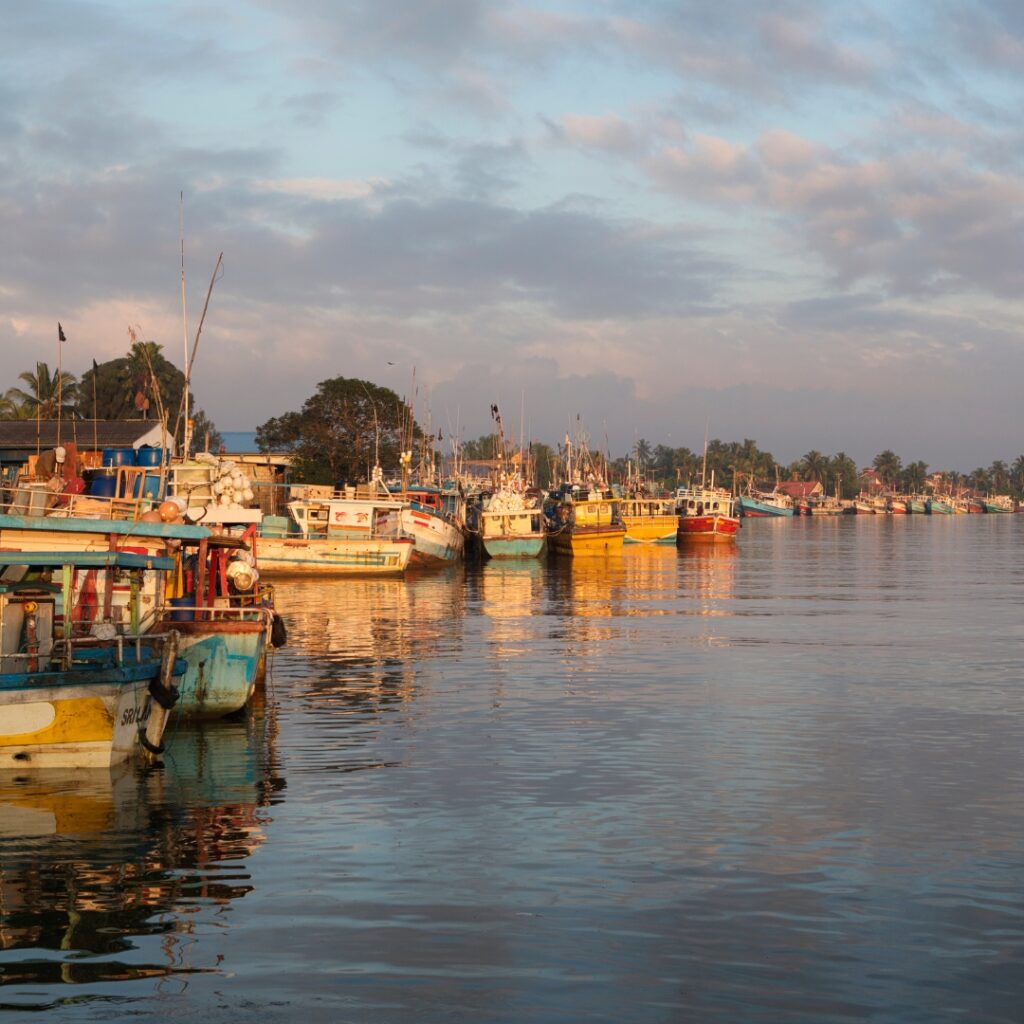 Negombo Fisherman's Wharf, Sri Lanka