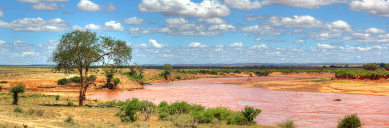 Safari au Kenya : à la découverte du parc national de Tsavo Est